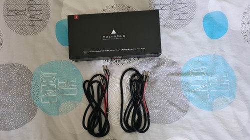 Deux câbles audio enceinte - audio, d'enceinte